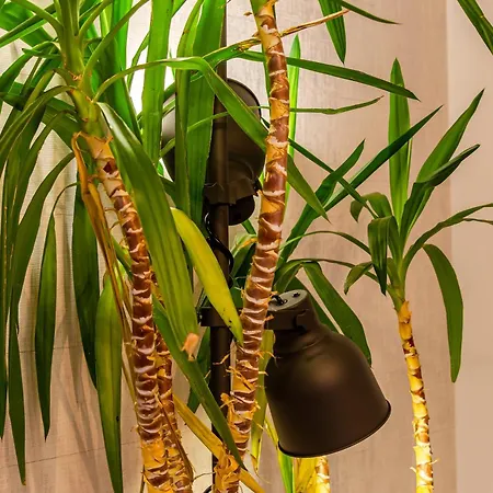 Konukevi Lx51 & By Iin - Center